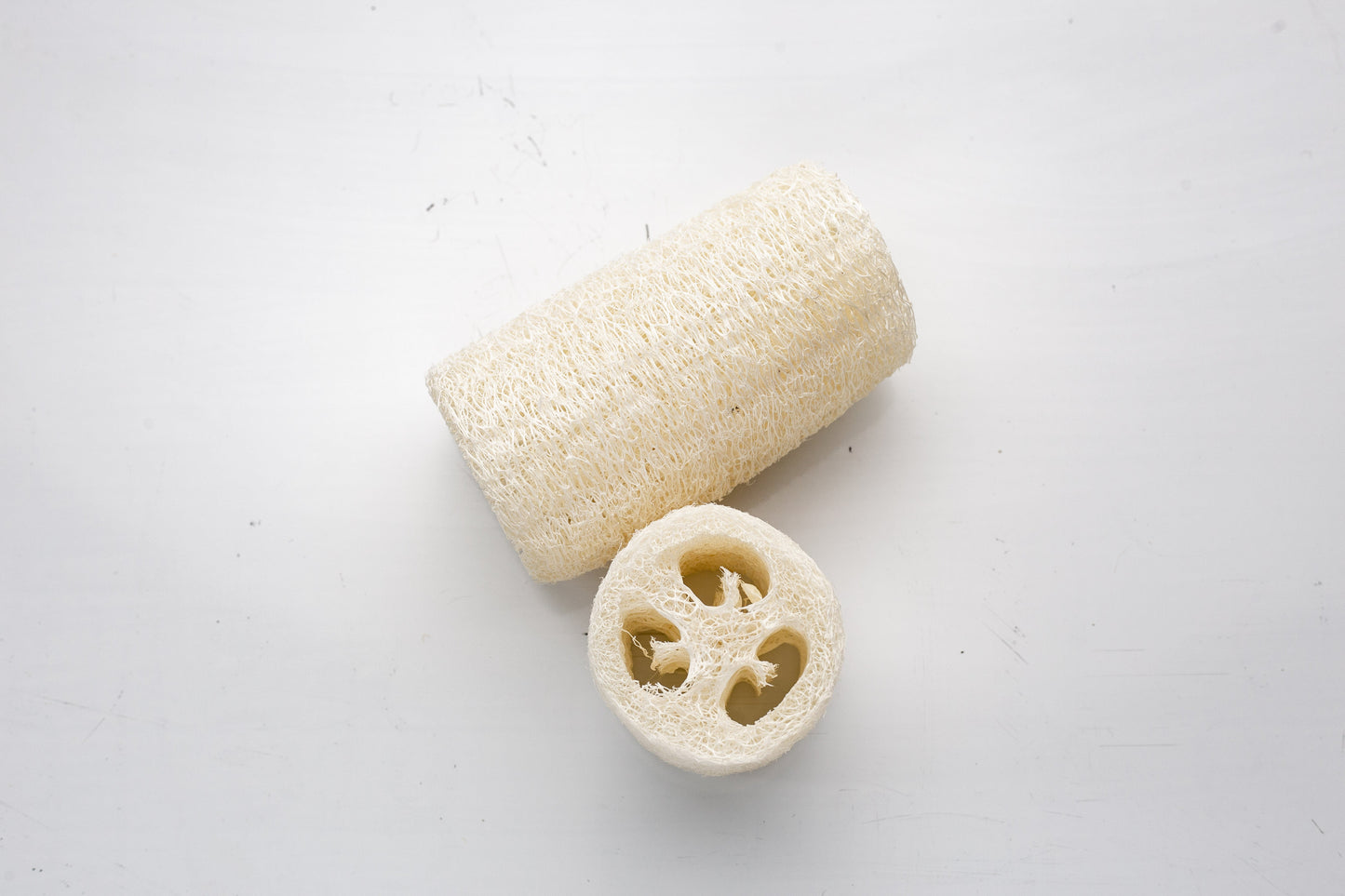 Loofah Sponge