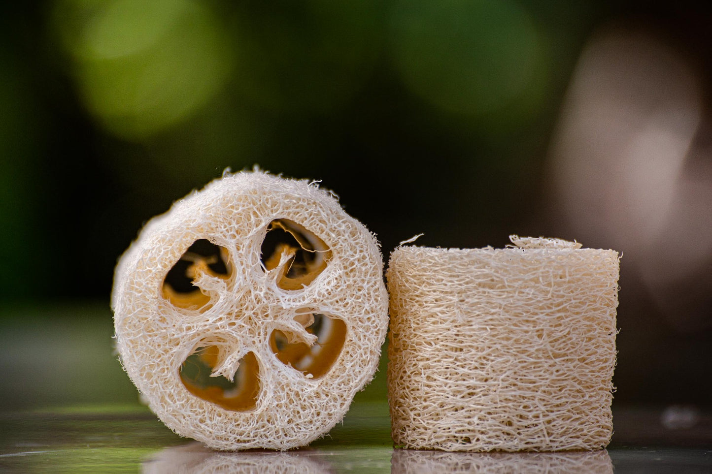 Loofah Sponge