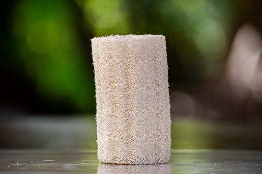 Loofah Sponge